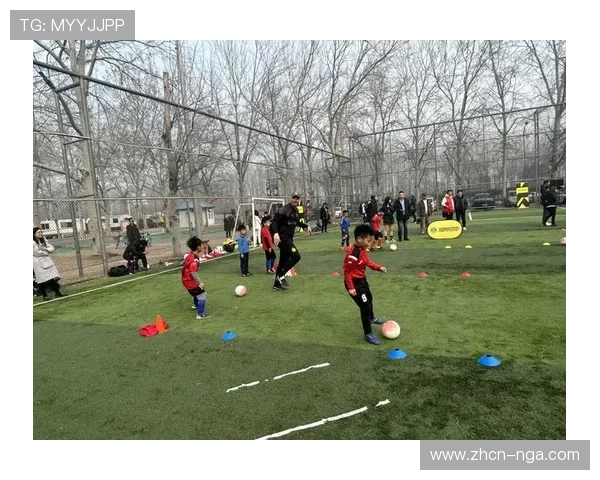 德甲草根足球发展,青训基地投入扩大